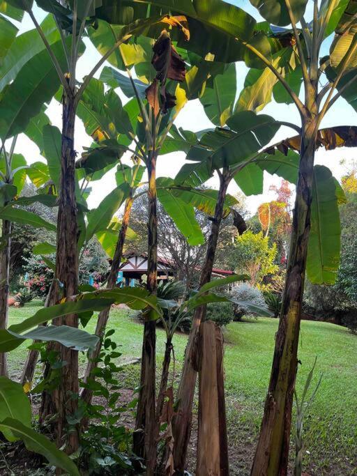 Chacara Trevisio, Proximo Aos Parques Casa de férias Olímpia